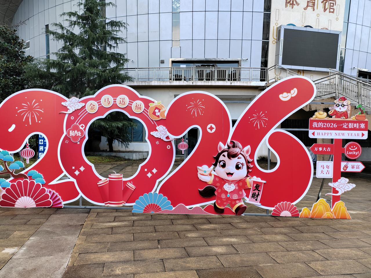 10星是成品拍的最高档标识，只在部分品牌（如银河、红双喜、361°等）出现，红双