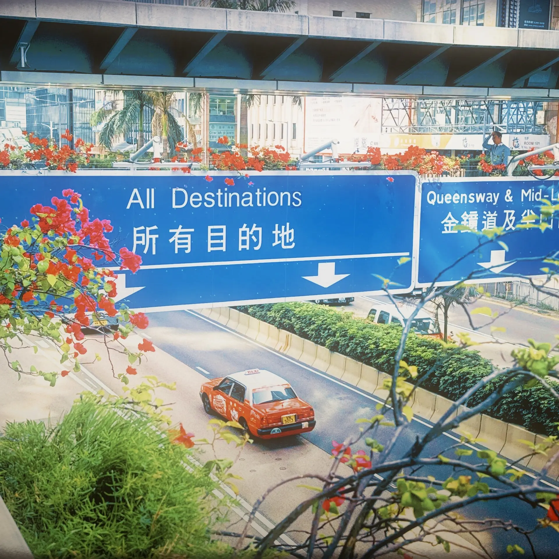 时间早已赋予我独自前行的能力