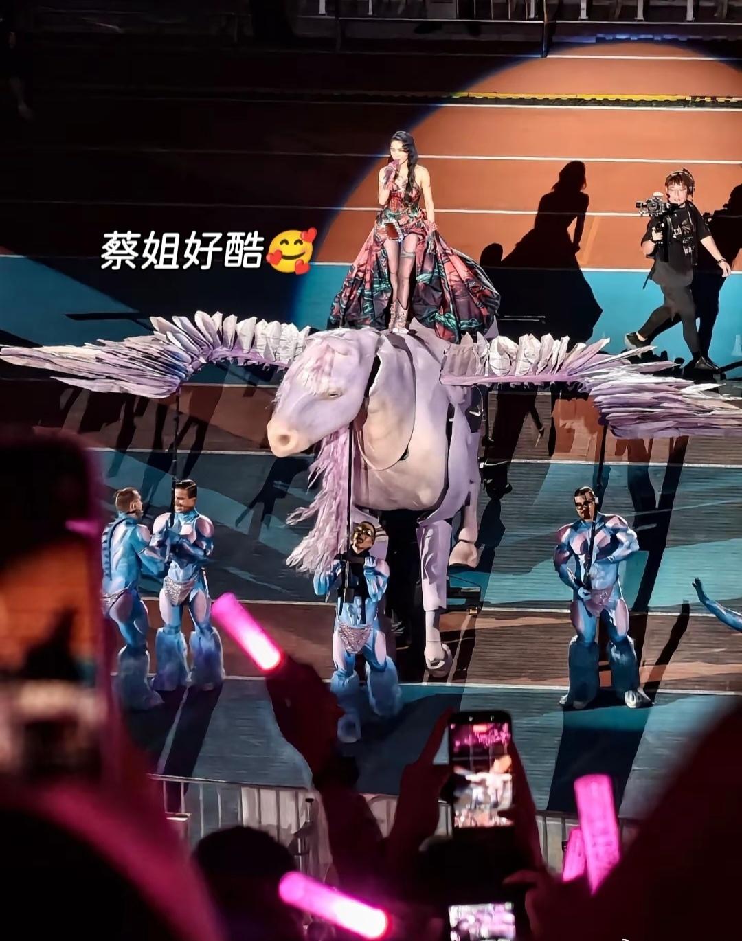 哪个粉丝周末不想急头白脸地来看蔡依林广州演唱会 来看演唱会之前就能猜到很好看，没