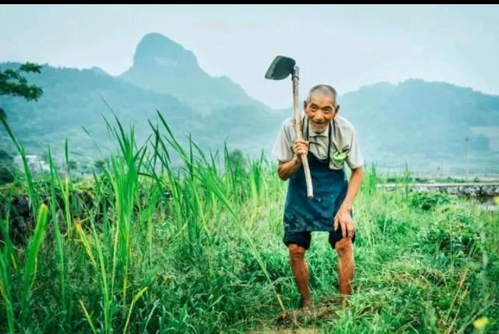 一生牛马累瘦干，
难换市区半屋间，
若要问我谁最苦，
………请友续补………？
[