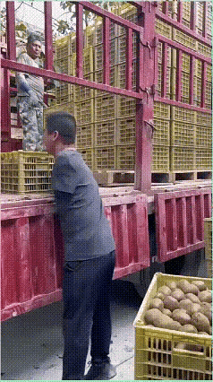 生活从来不易，致敬所有努力的人