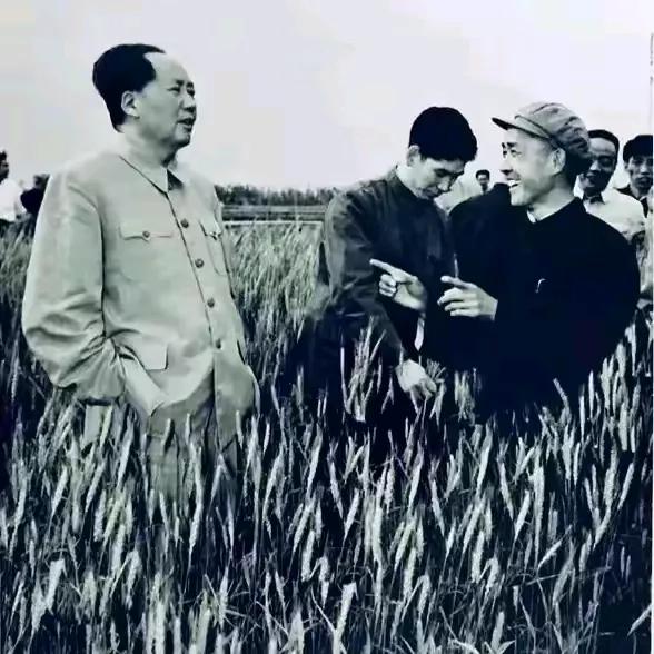 我国六七十年代的三农是什么样的六七十年代的农业发展是辉煌的，是取得巨大成果。