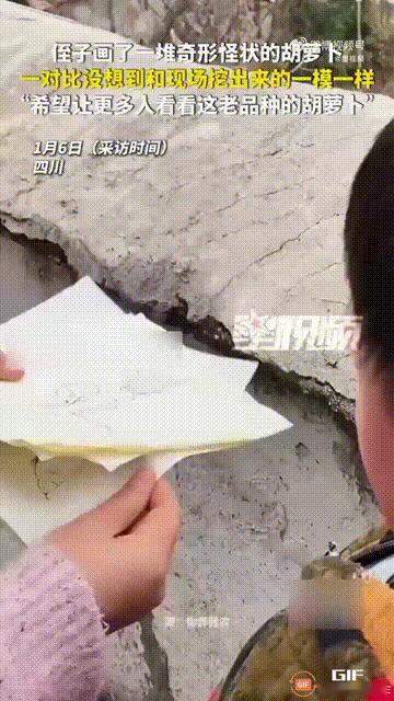 四川一个男孩画了几张“胡萝卜”的图画，然后高高兴兴地拿给家长看，谁料家长看完之后