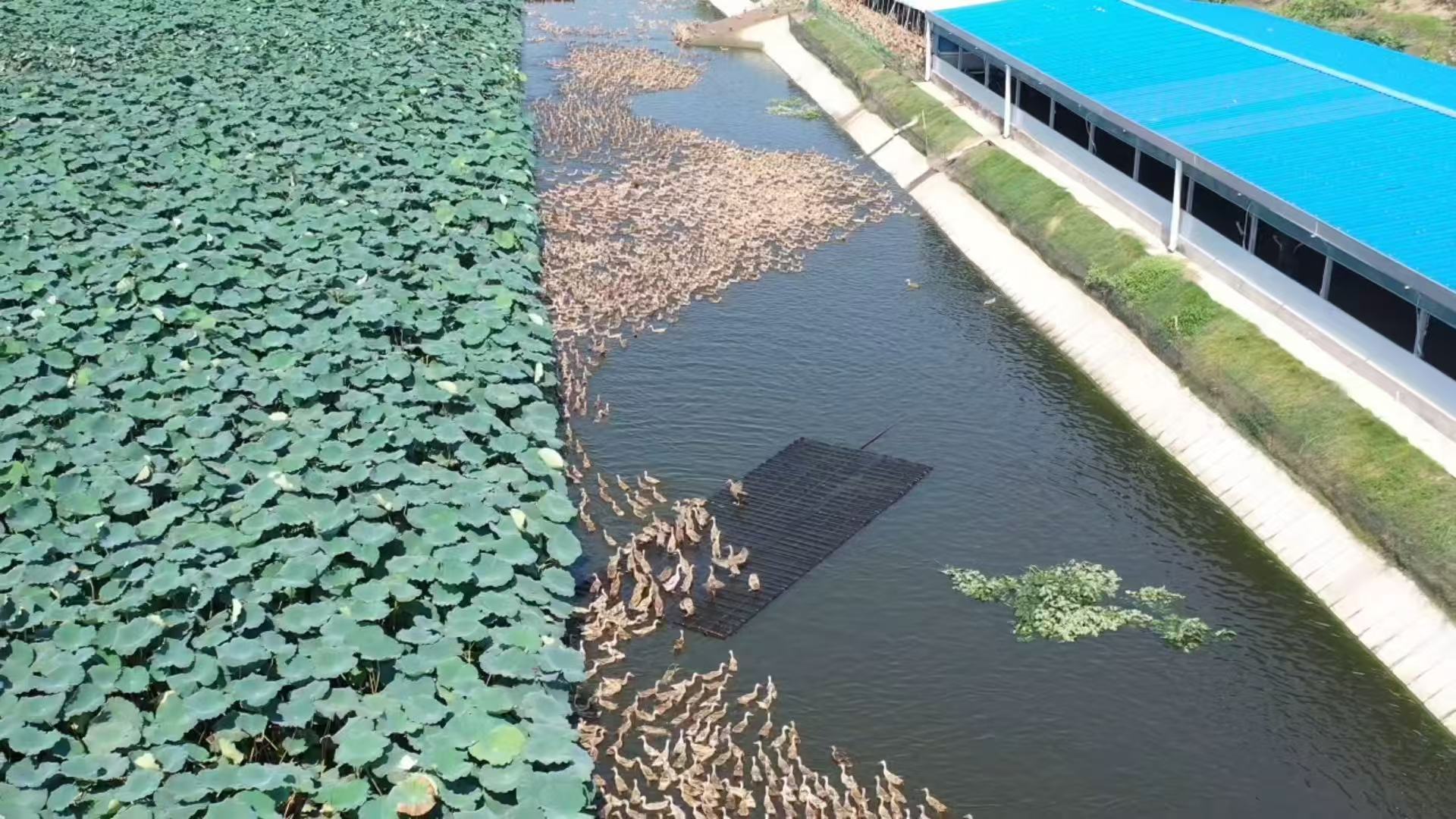 上海相亲角心眼最多的嘉宾出现了相亲简历暗藏玄机？文心在线秒懂潜台词，解读功力直接