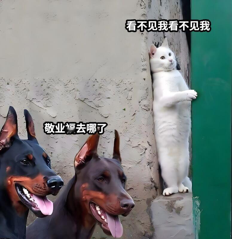 健康福和敬业福你们别打了！支付宝集五福的风又吹到新年了，听说今年要新增健康福，直