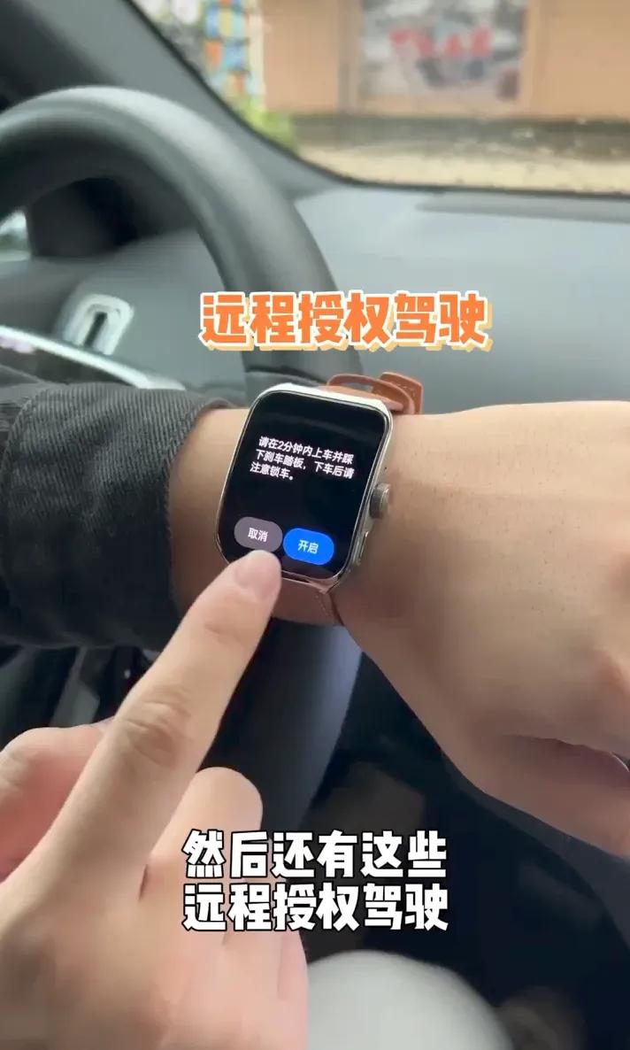 对于传统的汽车品牌来说，远程控制技术是黑科技，除非豪车或者加钱去买。

但是来到