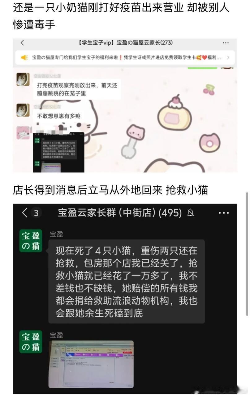 那个沈阳虐猫的，好像还是国企员工。四死两重伤，老板现在把店盘出去了，现在全部精力