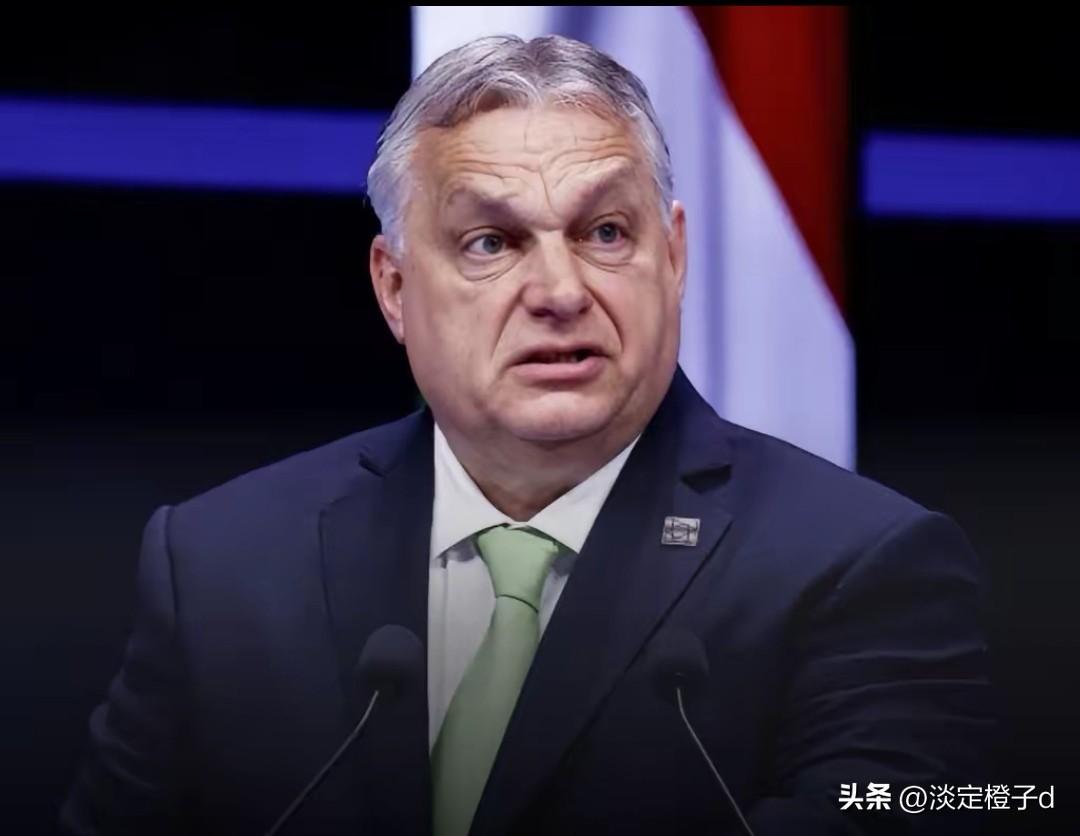 欧尔班怒怼：别瞎琢磨普京，先救自家百姓
 
欧尔班在社交平台公开回怼图斯克，要求