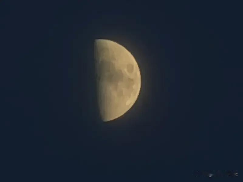 天上的月
地上的人
人看月
月看人
两两相望