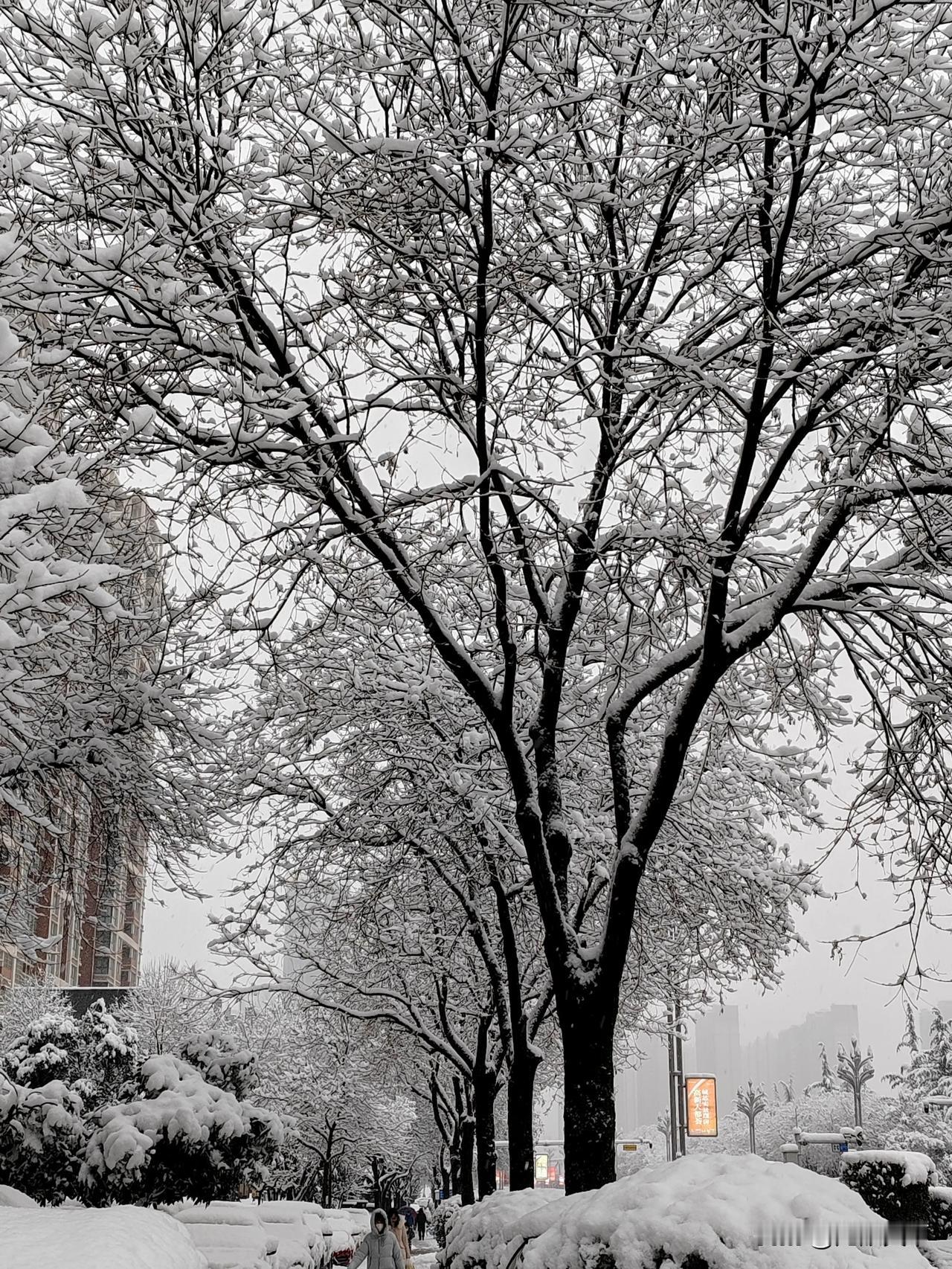今天宝鸡的雪
