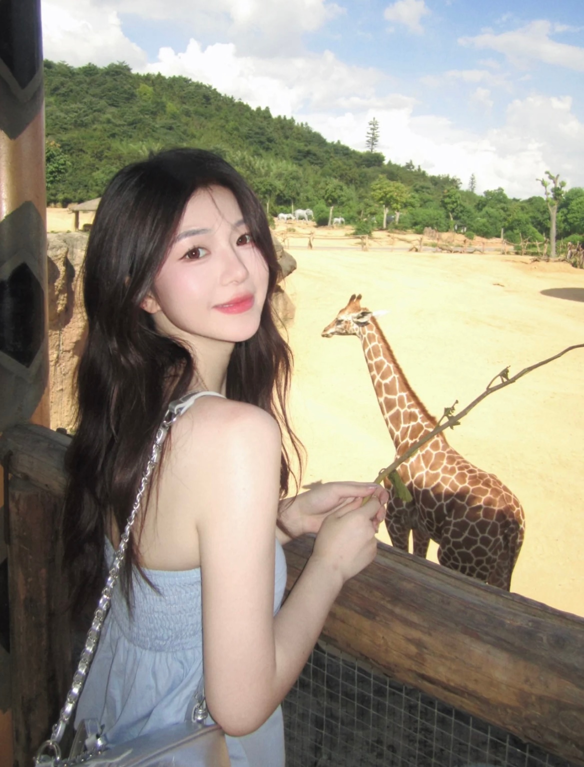 ​存一些动物园拍照姿势🦒 ​​​