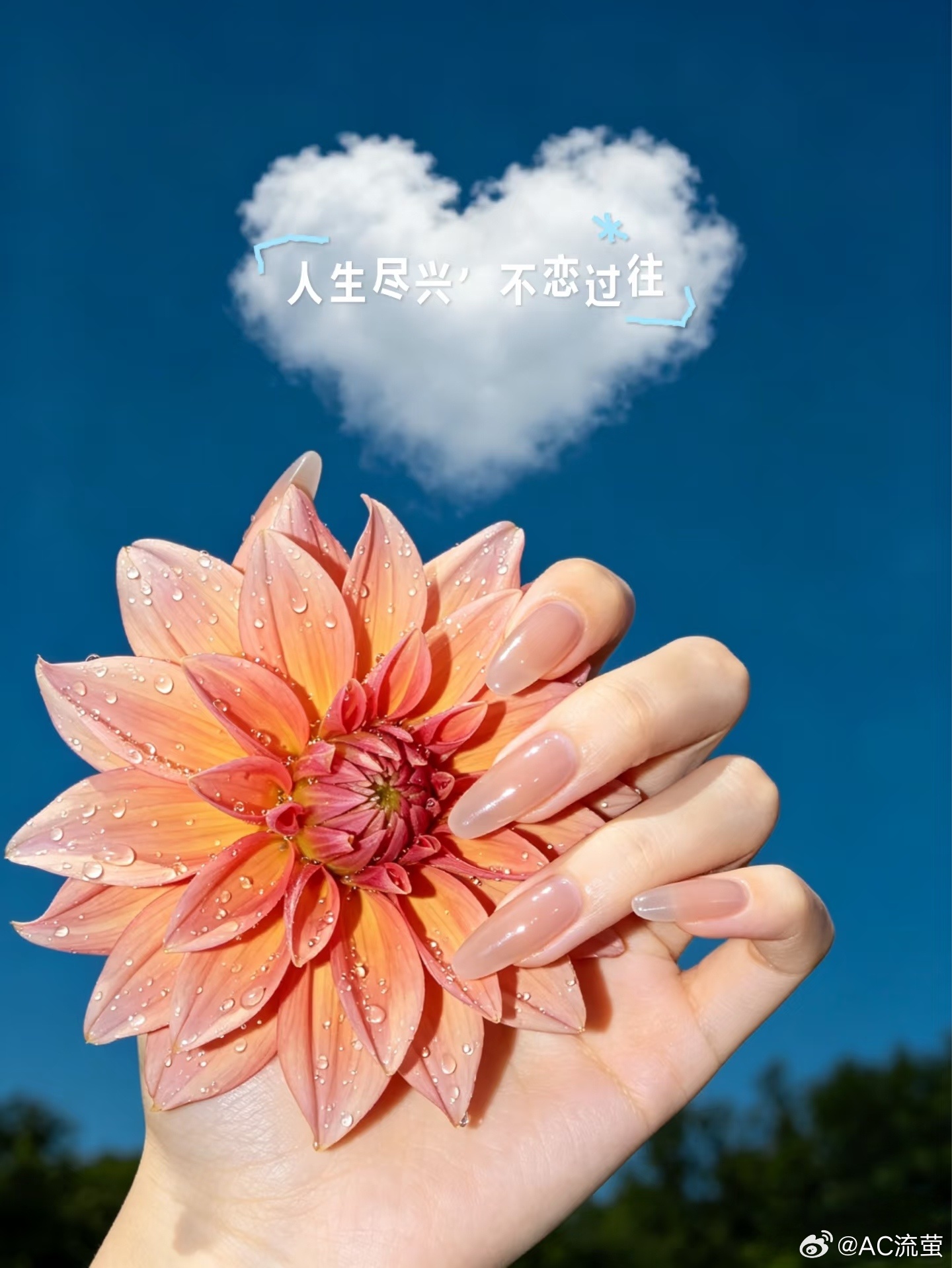☁️手心里的温柔接住整片天空的浪漫，花朵与云朵在指尖共舞，日子就该这样甜得冒泡呀