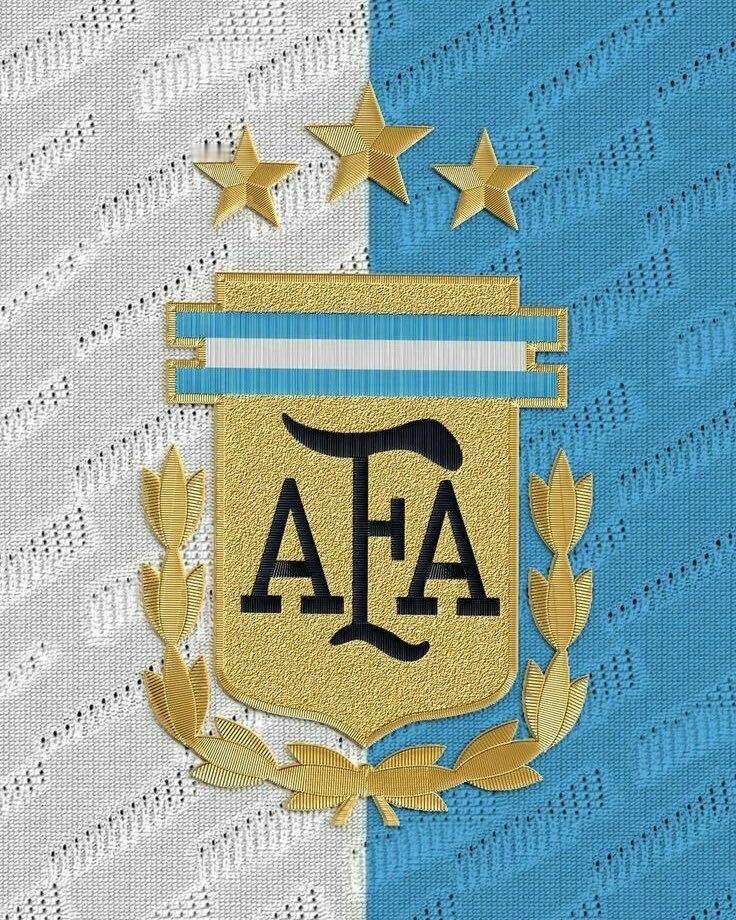 这张图没什么搭配文字，就是好看……阿根廷 梅西