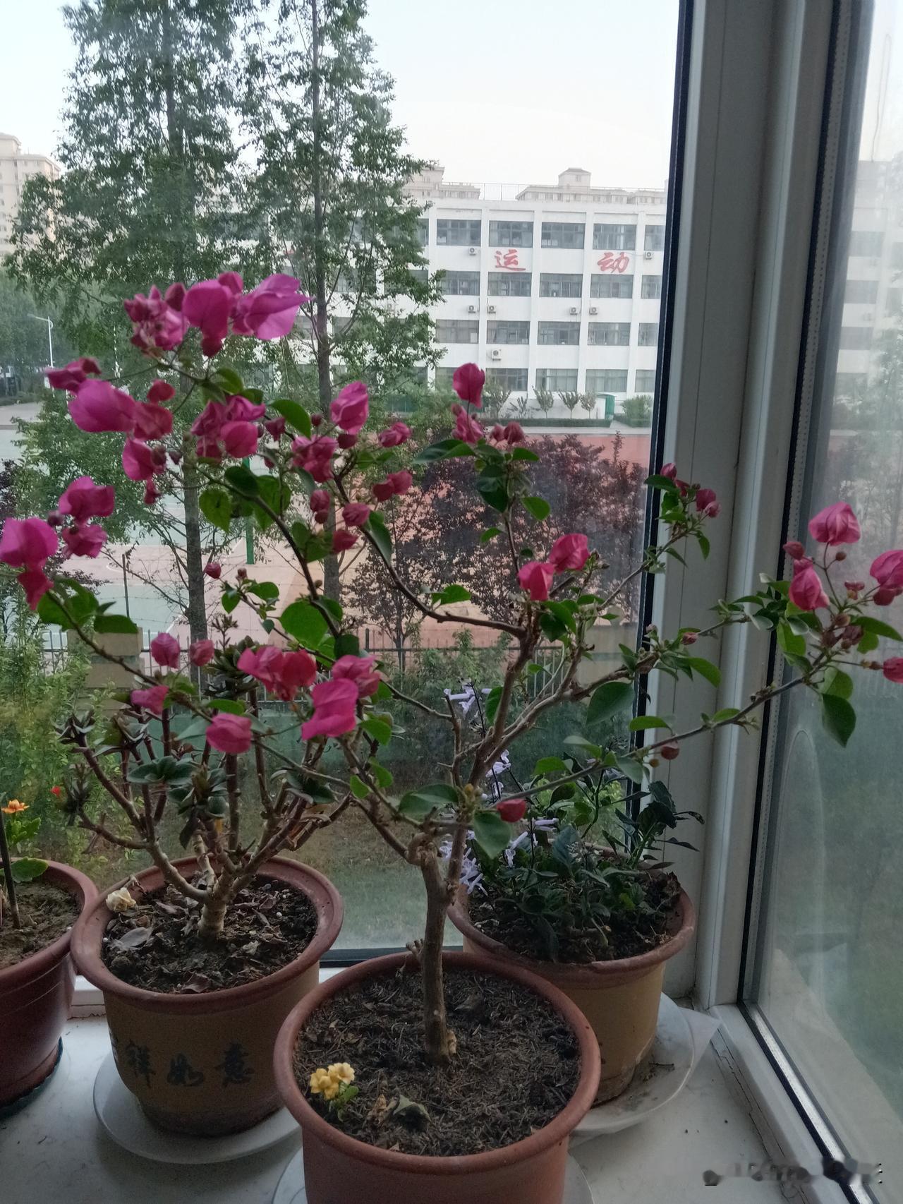 男人若想命运顺遂，需牢记以下七条忠告。
永远别与明显配不上你、消耗你的人长久纠缠