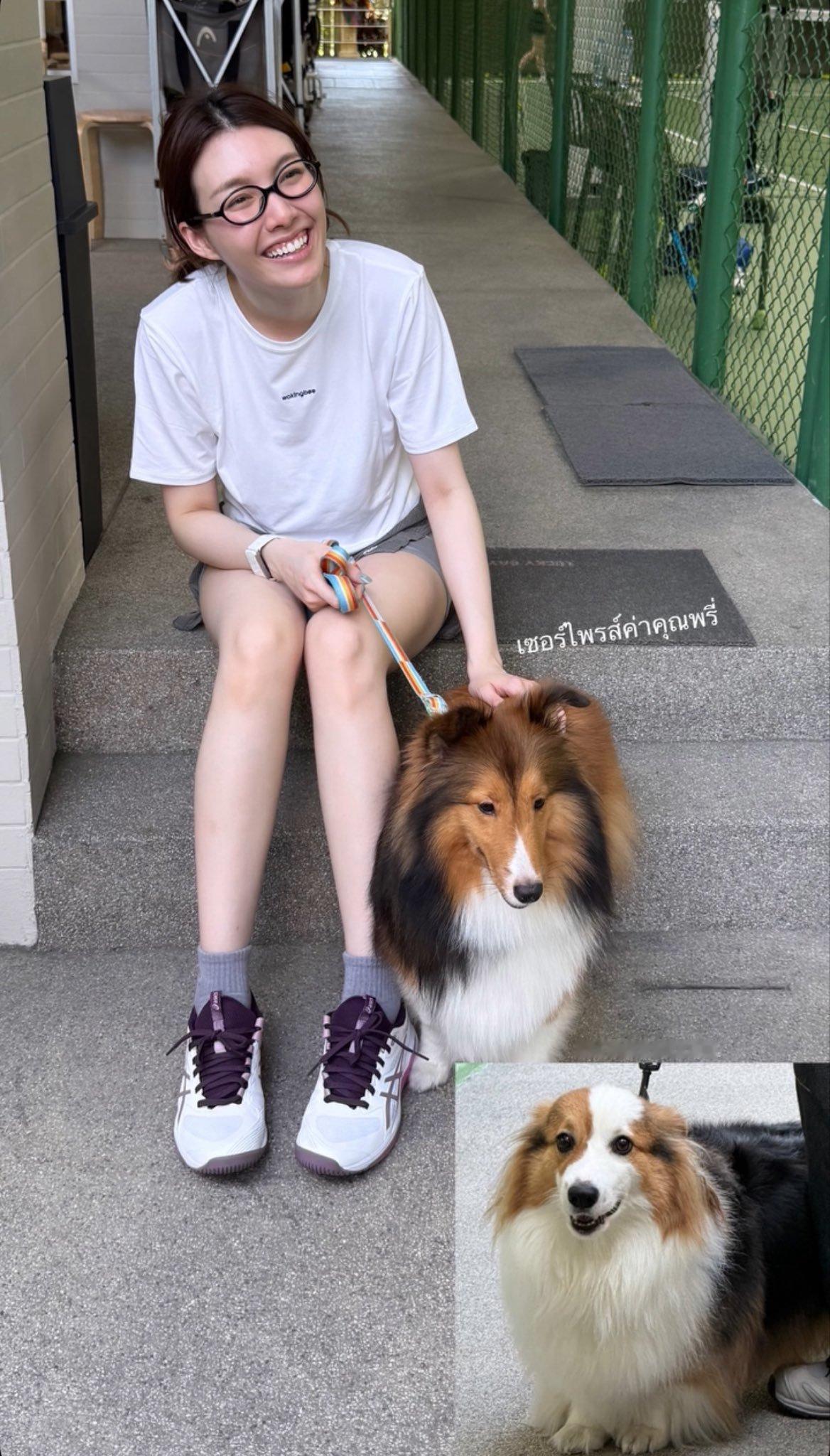 陈奥相关更新 好可爱吧眼镜小狗和狗狗🐶 ​​​