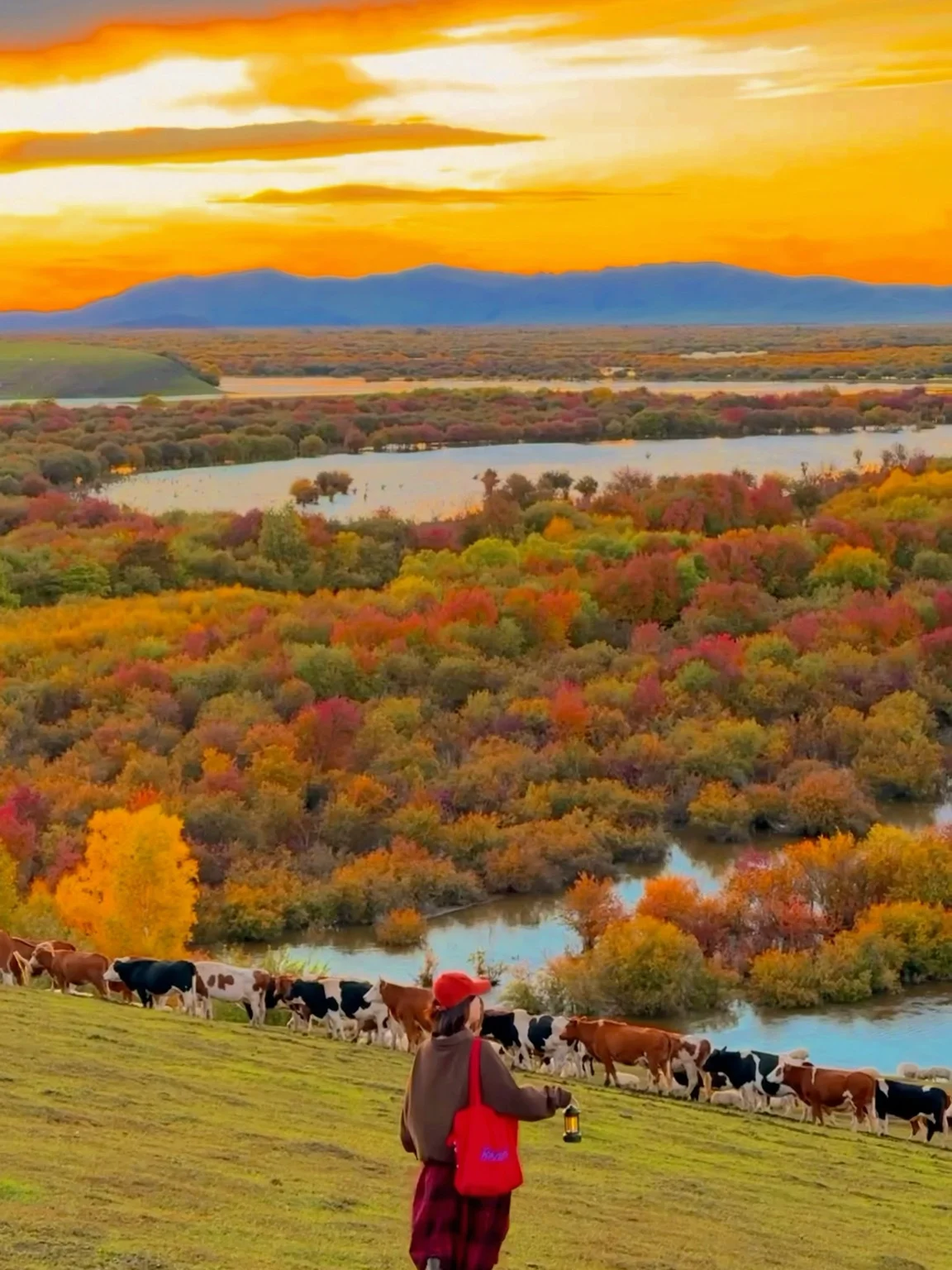 马上要离开呼伦贝尔😭哭着发完这18张live图