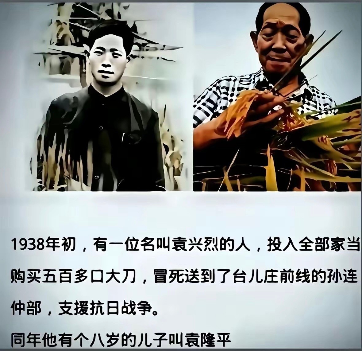 袁隆平老子英雄儿好汉抗日英雄杂交水稻之父