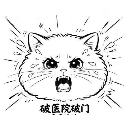 肖战小城良方将同步上线东南亚小城良方跟着肖战闯世界去喽[锦鲤附体]~
肖战刘铮亮