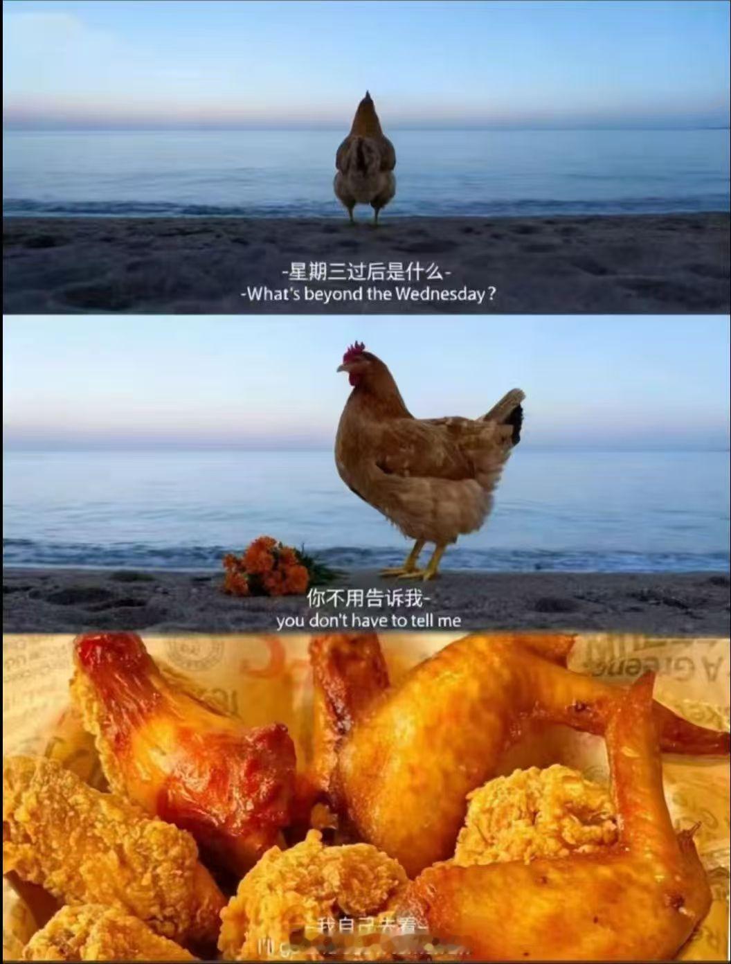 分享图片 ​​​
