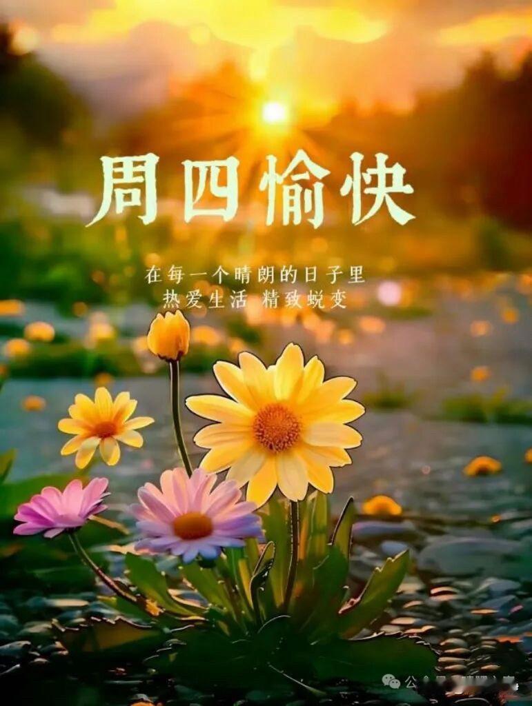 🍎 ²⁰²⁶/₀₄.₁₆🧨ᵕ̈ 🐎🍃🌻🍒🍡
🍃𝐌𝐨𝐫𝐧?