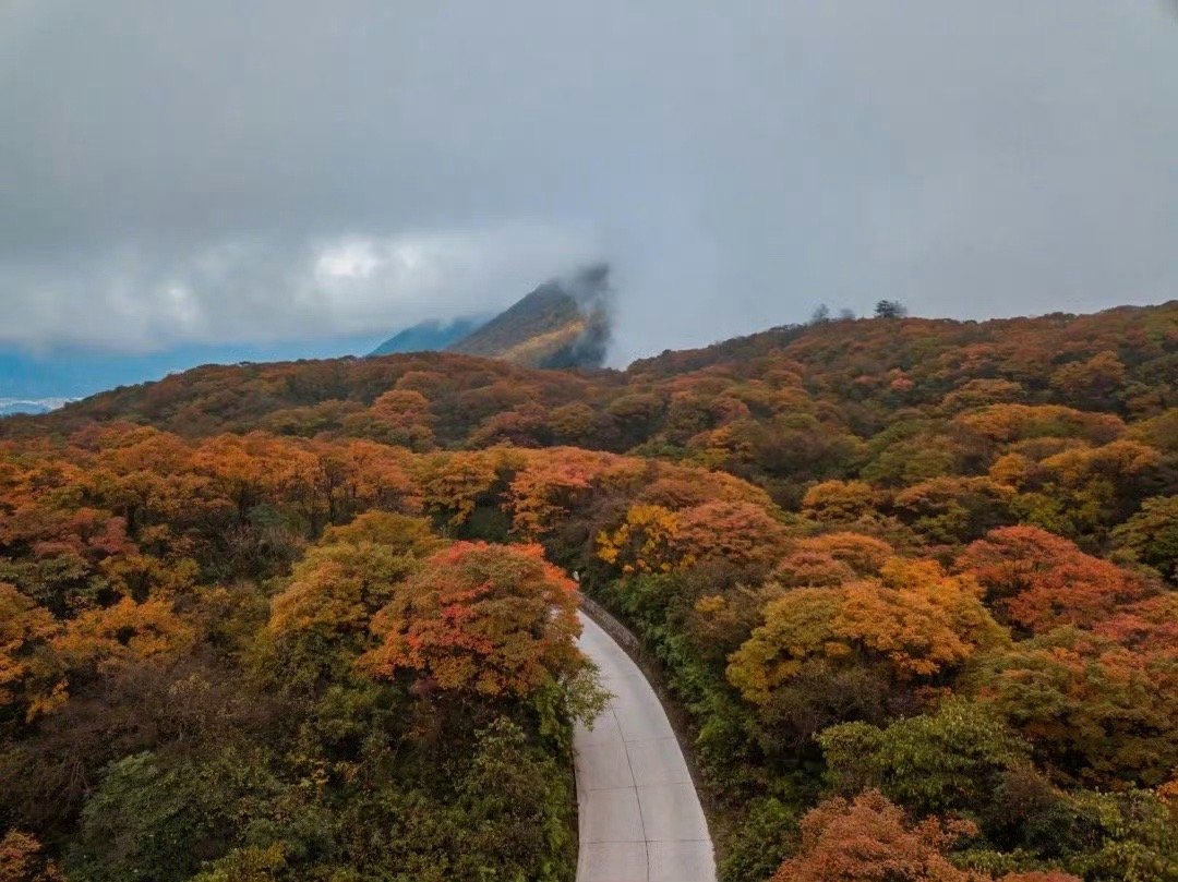 《道路与风景，如何提升自己的感受力？》道路（意识连接）（觉）决定了我们可以抵达的