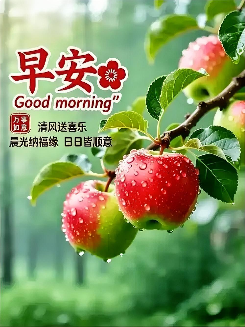 早安，愿你如苹果般红润，充满生机与希望！🍎🌞