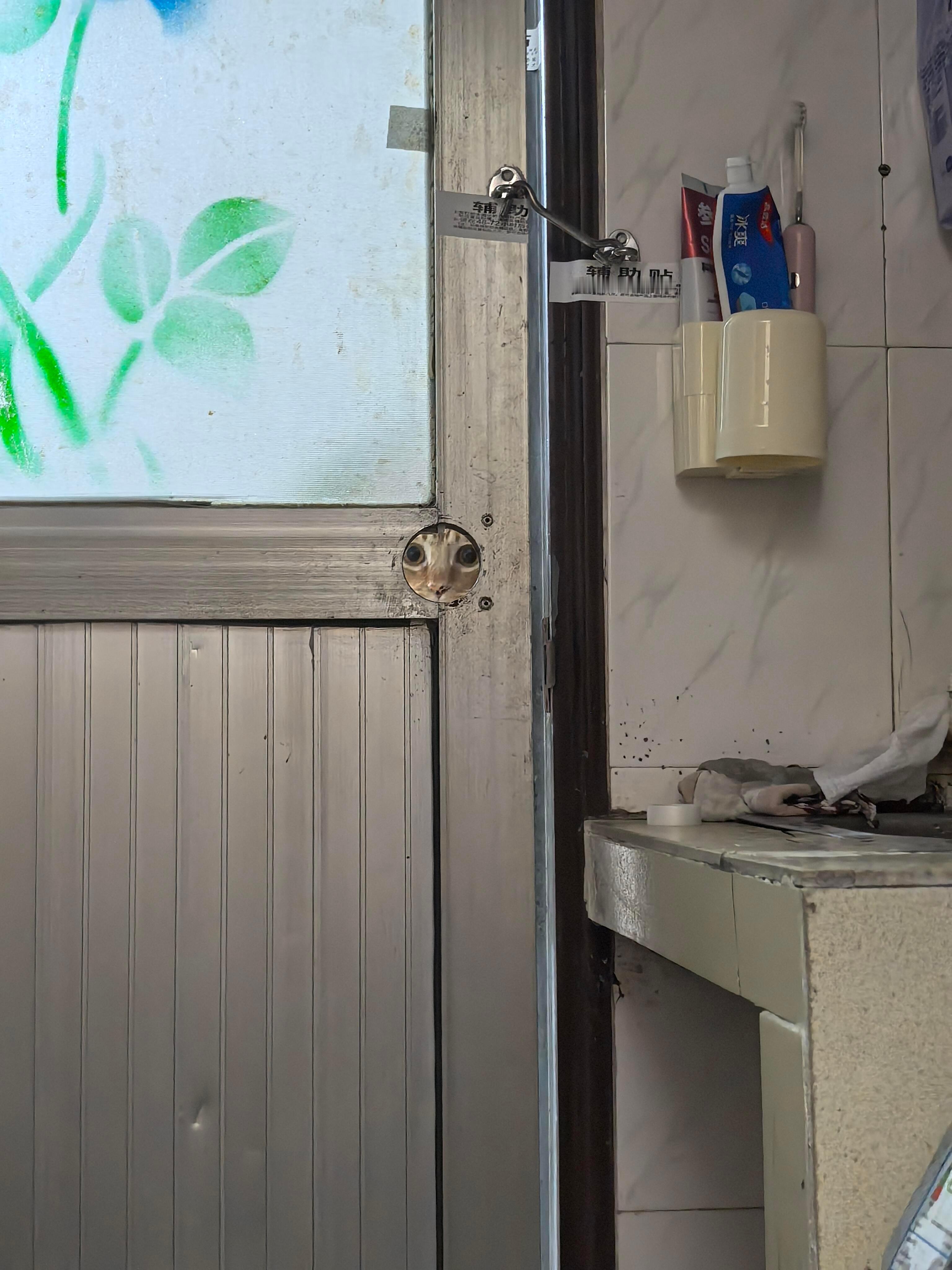 这才是真正的猫眼 ​​​