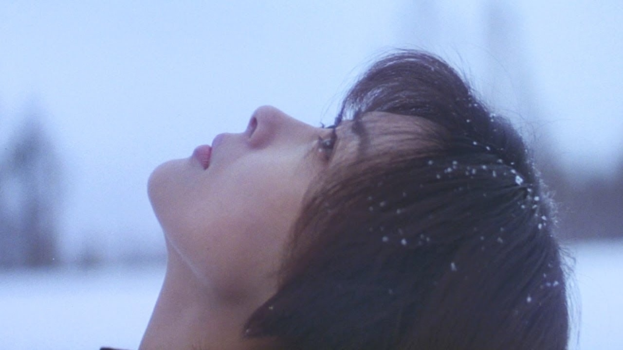本周末，北美独立电影发行商Film Movement将在纽约Metrograph