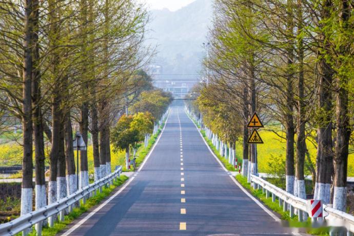 临海农村公路开启全寿命养护新模式临海以全寿命养护新模式，为农村公路装上 “长效保