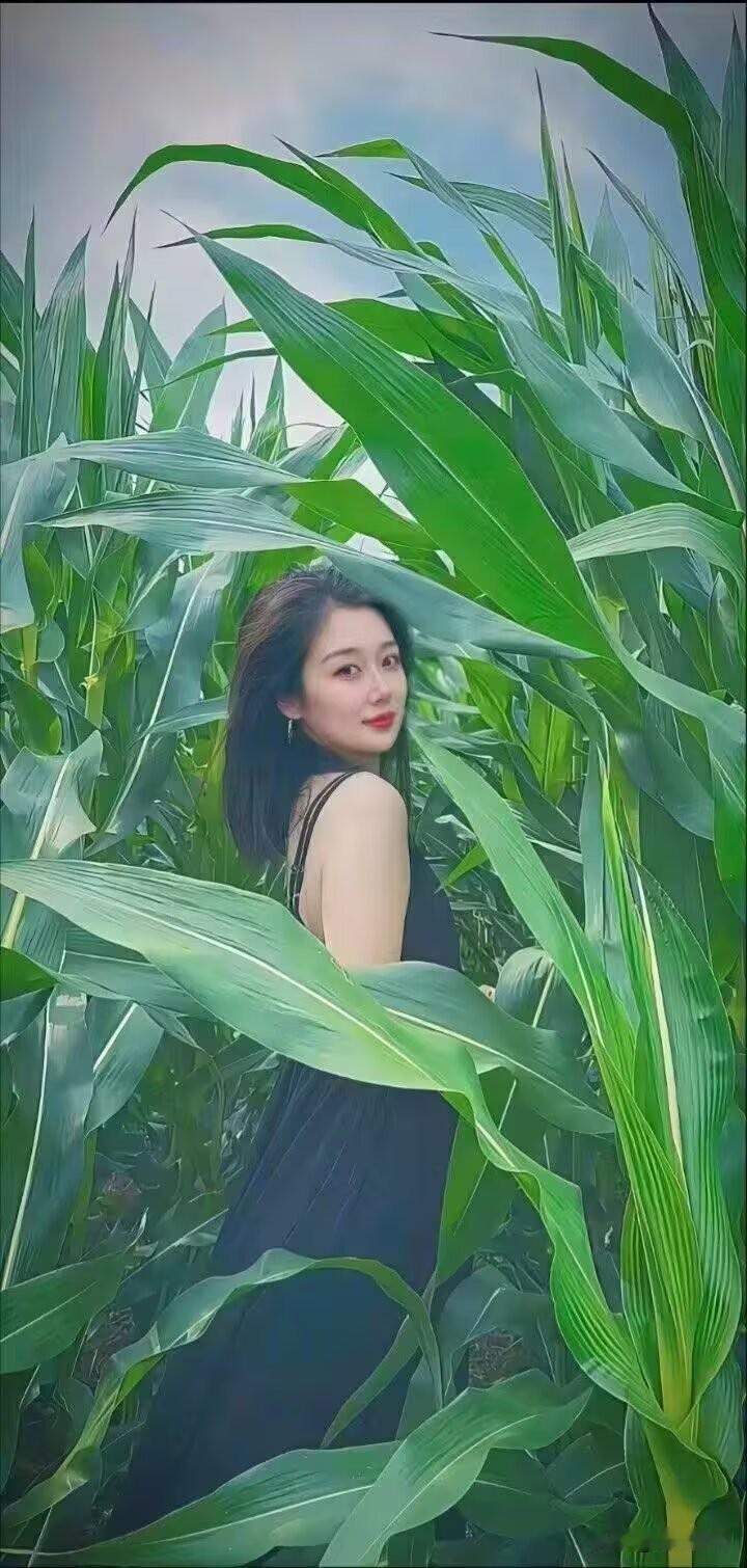 当你老了,愿意在农家小院生活吗?
说句心里话，我挺想的。

城里住了大半辈子，电