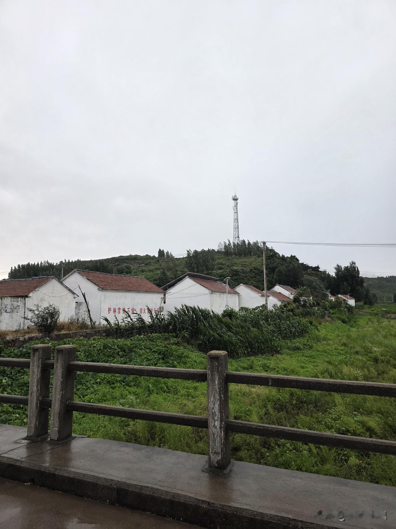 带老娘赶集，突降大雨，措手不及……

上一集给老母亲买了一件上衣，拿回家后她越看