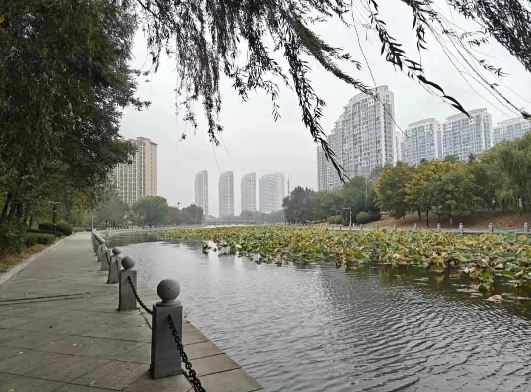 我在营口小区六楼租房户拾荒者冯大哥，是我们小区第六个拾荒者，今年77岁了。小区总