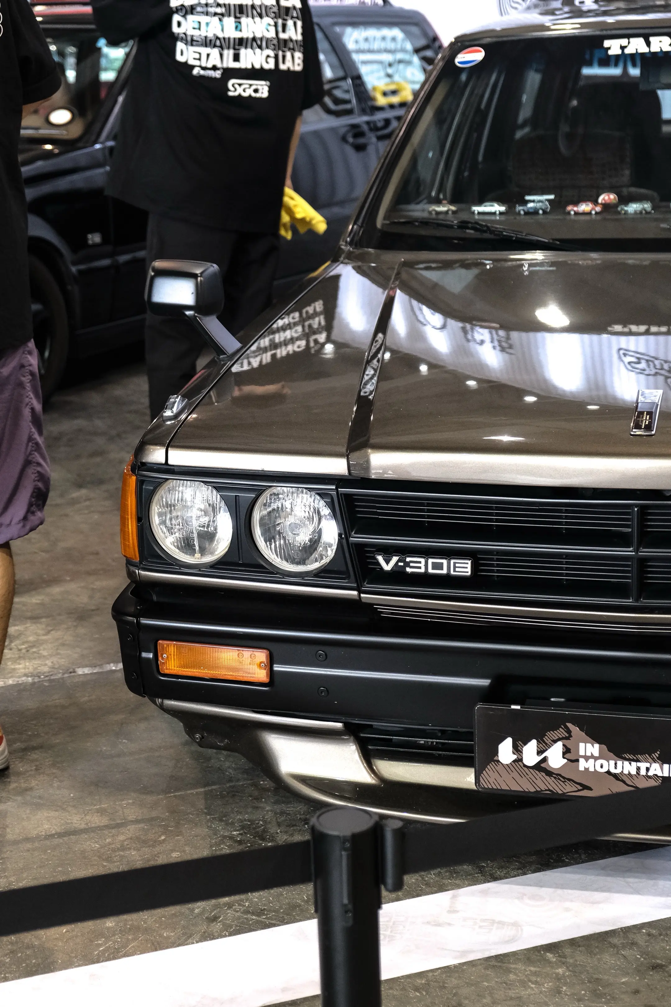 岁月早已磨平棱角·老牛骨依然优雅迷人。