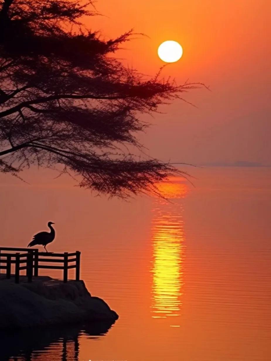 夕阳残照水波漾，飞鸟归巢影渐远。#目落佘晖咉晚霞# #秋树下吹落夕阳# #波光潋