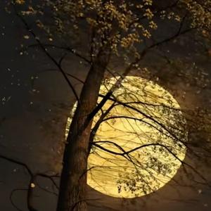 英雄悲歌讲历史