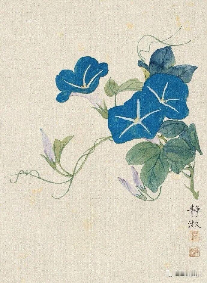 发一张你相册最绿的图片
