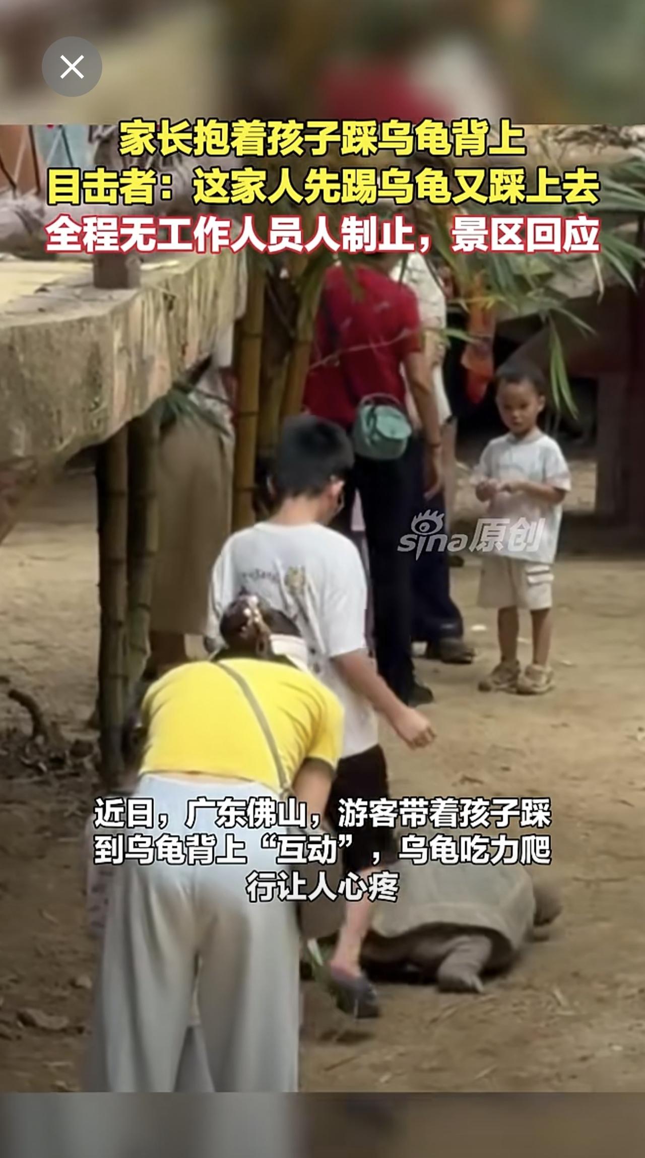 家长抱着孩子踩乌龟背上，目击者：这家人先踢乌龟又踩上去，全程无工作人员人制止，景