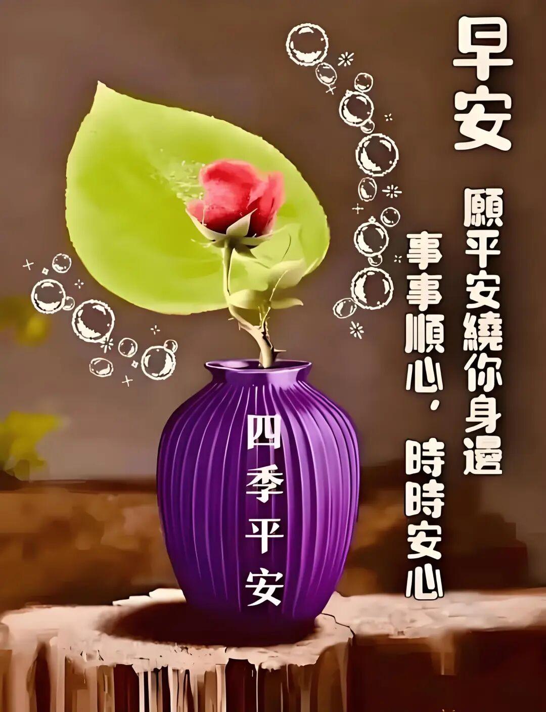 致正年轻的你不再年轻的我，不求前程似錦，但求此生安宁，身体健康，事事顺心，事事安
