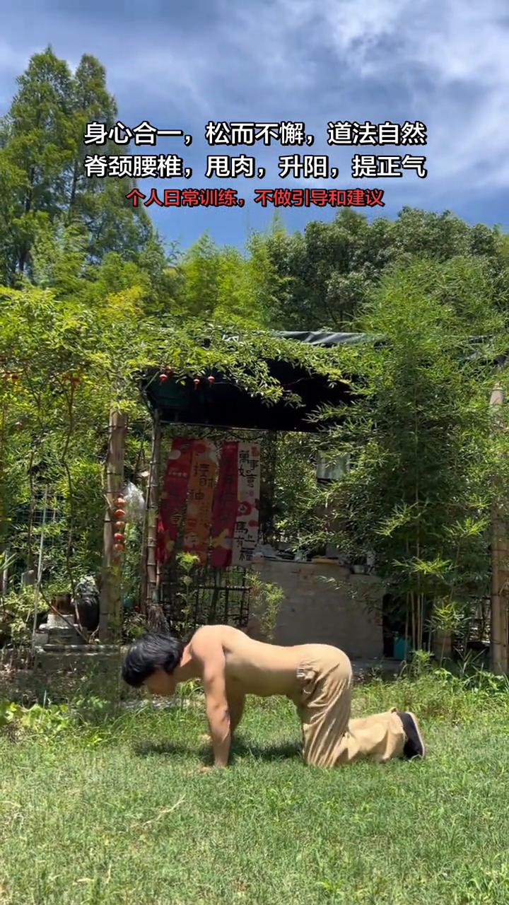 个人日常训练，不做引导和建议。
身心合一，松而不懈，道法自然。脊颈腰椎，甩肉，升