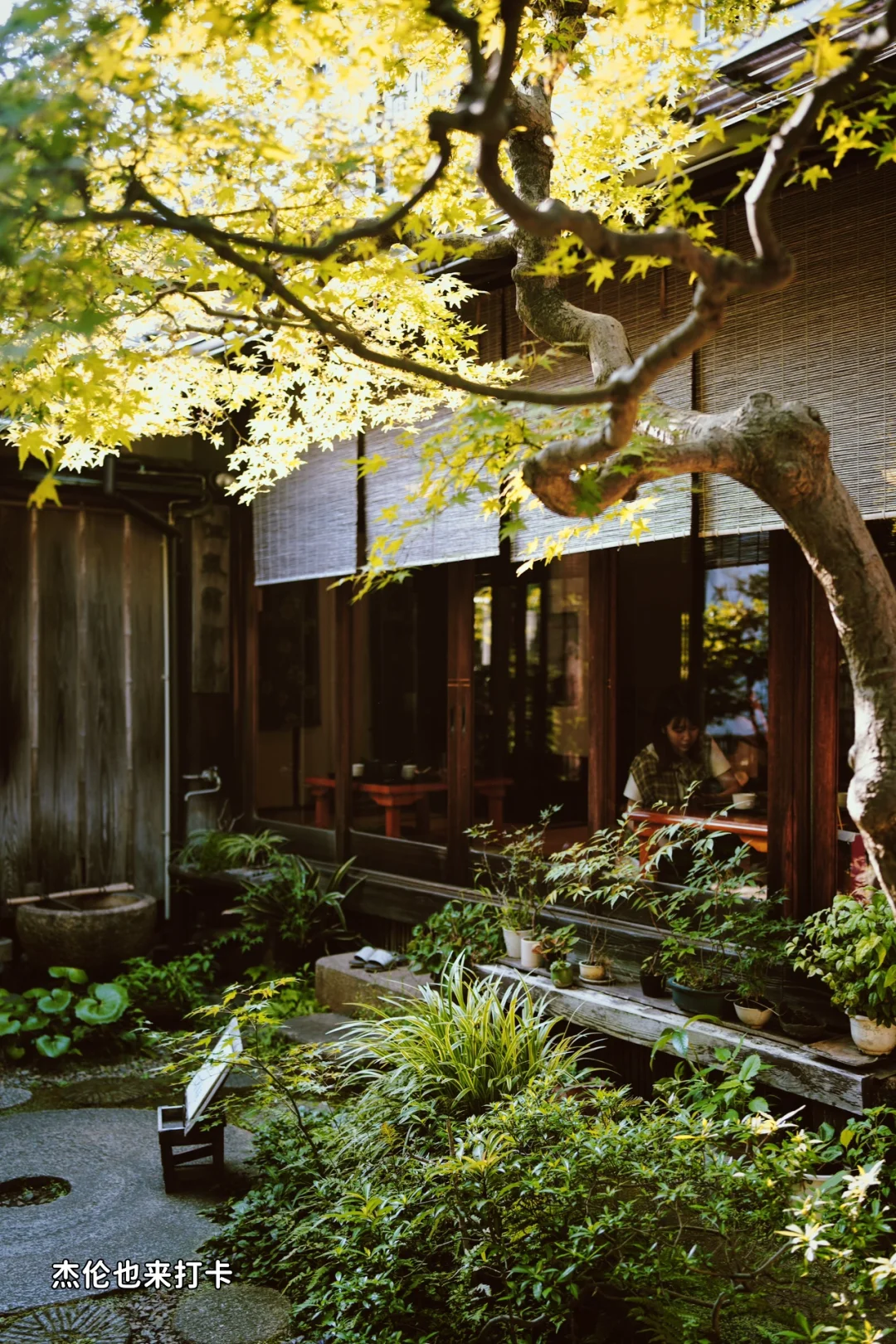 东京，9️⃣家Brunch、咖啡店去完人生满足了❗️