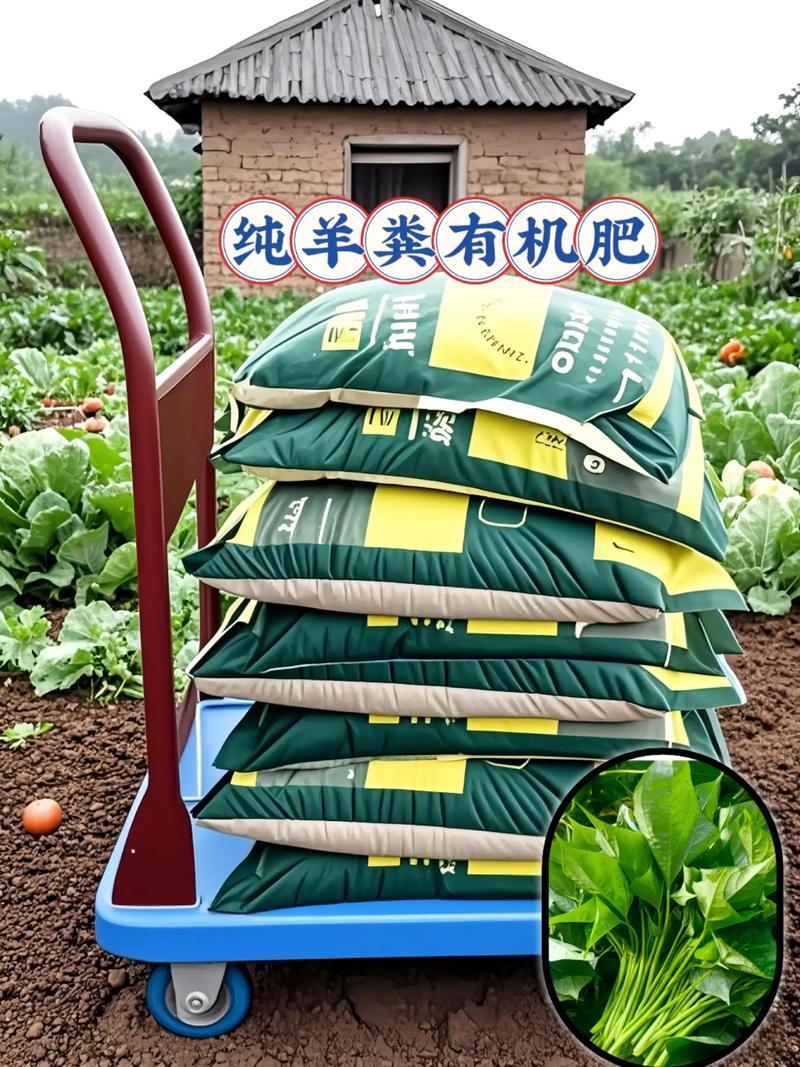当某些人从年纪轻轻的时候，就生活在与公众隔绝的环境当中，当他几十年以后，肯定是对