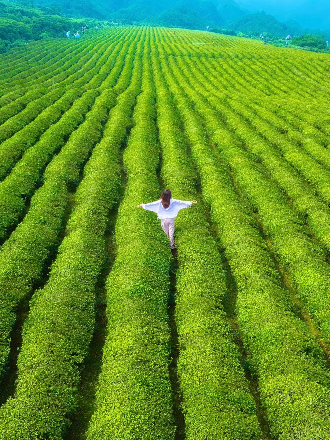 江浙沪春日踏青就来这里❗️记得做好防晒