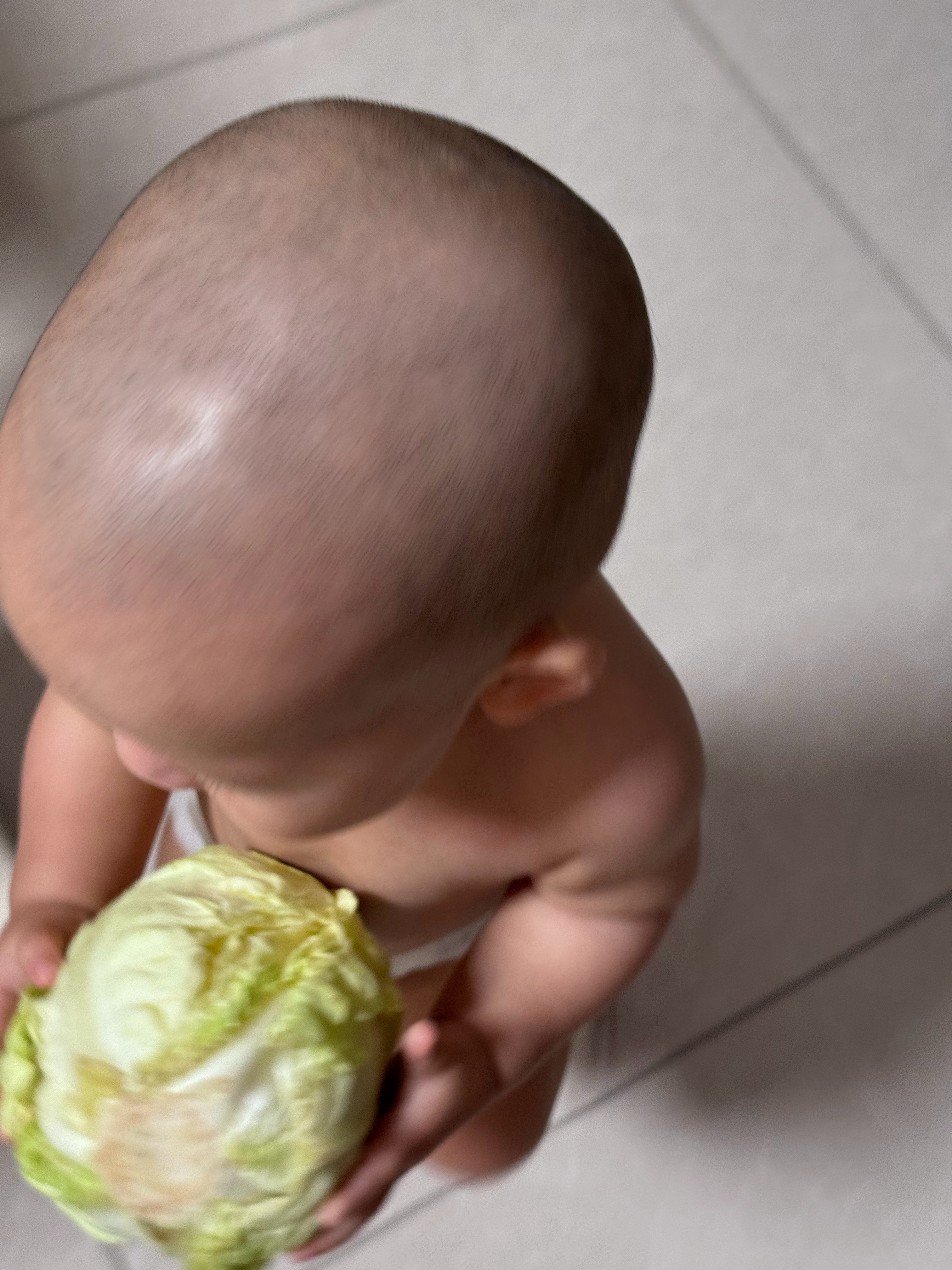 人类幼崽第一次抱白菜