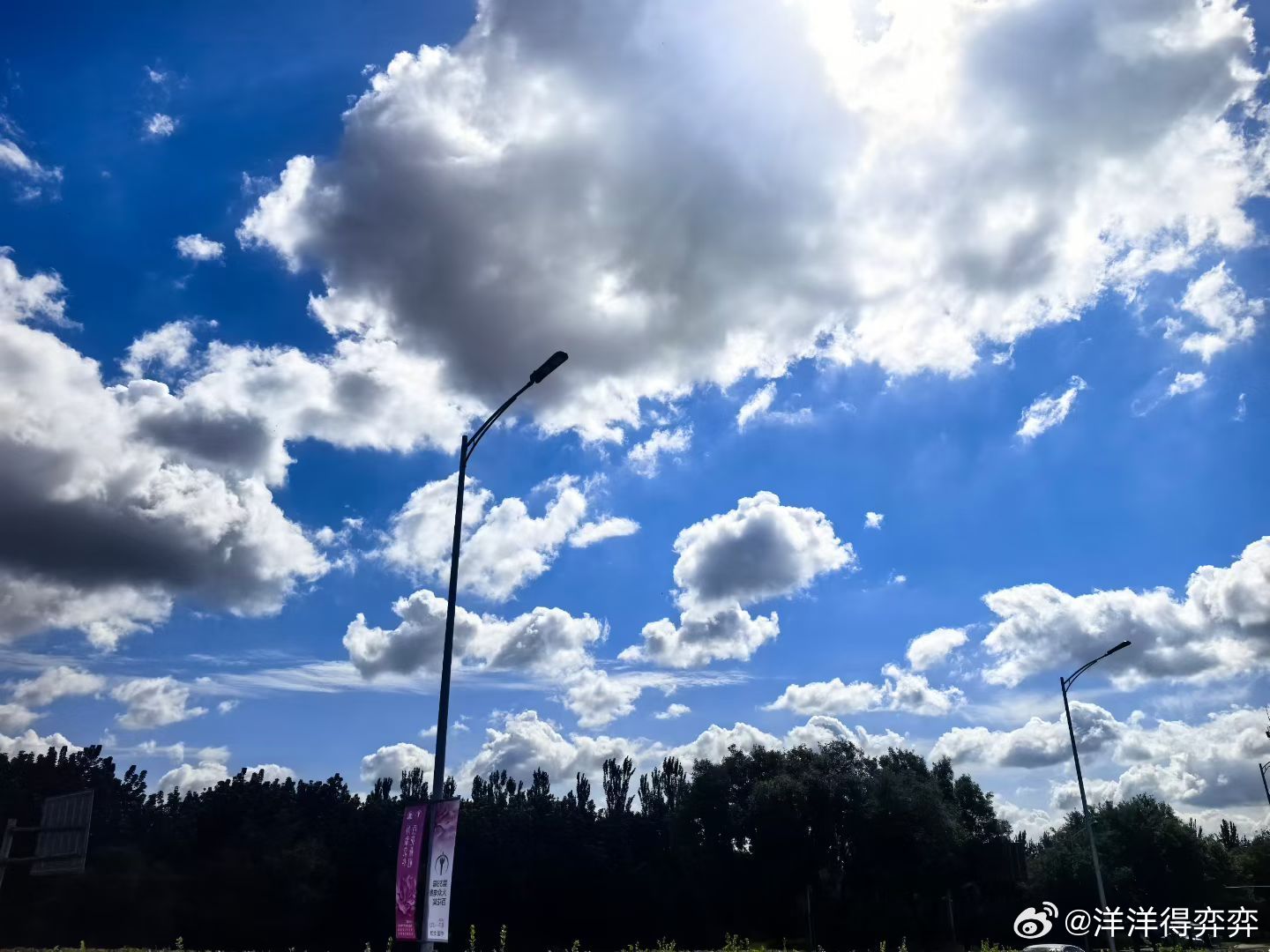 白海豚还是放过了北京，据说是没有进京证进不来。今天的天无敌了。 