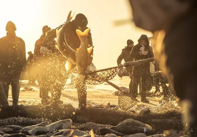 查干湖头鱼拍出1699999元高价 查干湖头鱼拍出1699999元高价，这事儿可