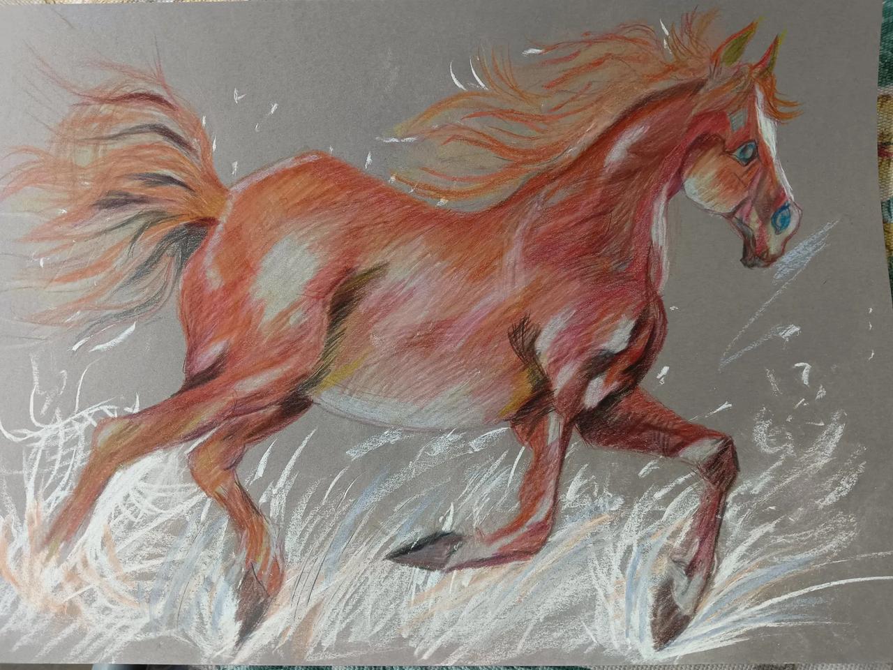 彩铅画