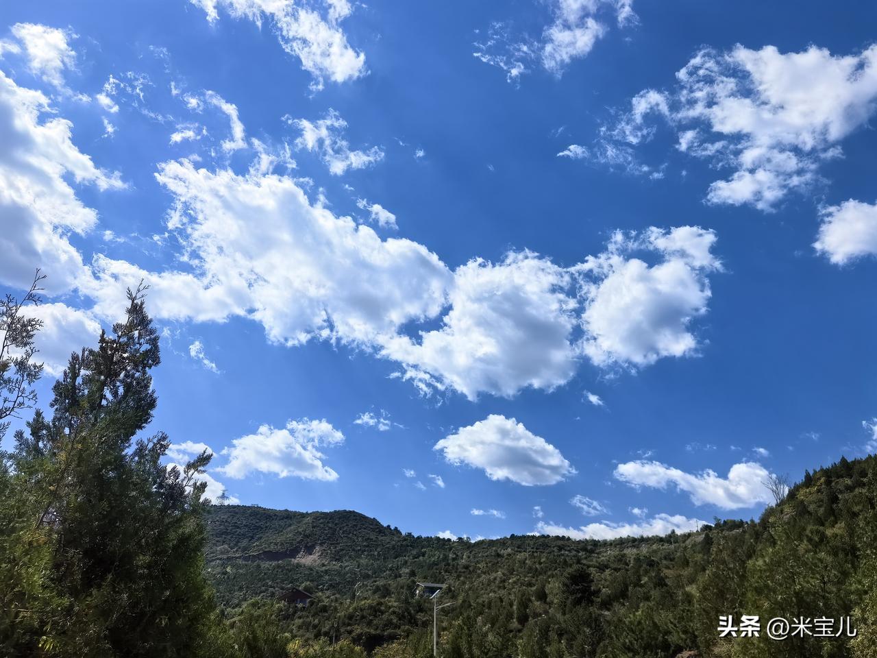 太累了，今天没有跑步，
窝在床上写一篇微头条。
曾几何时，休息竟然成了一件奢侈品
