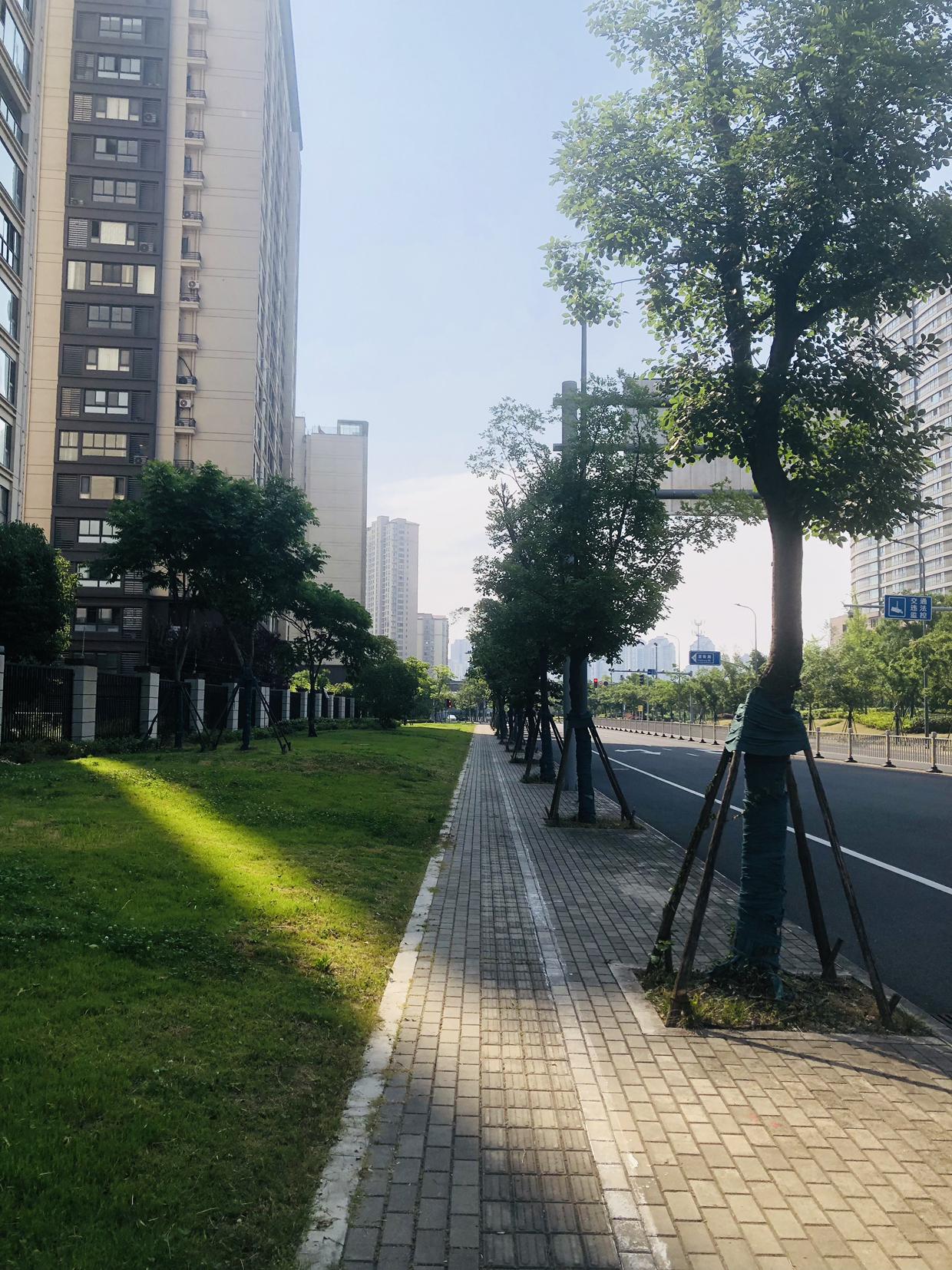 我的今日状态：😁轻松愉快
我这里的天气：🌤️多云
今天常州多云转阴，一点雨都