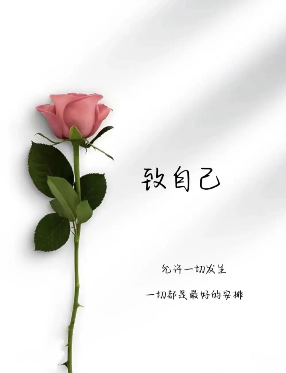 如果不是因为感情背叛问题，抑或说触碰到了彼此的底线，请轻易不要离婚。

离了婚可