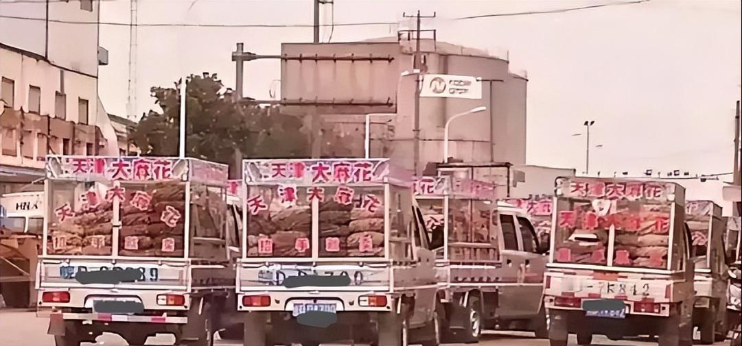 2000年，神秘组织“天津大麻花”，明明没人买却走遍全国，如今才彻底明白，里面竟